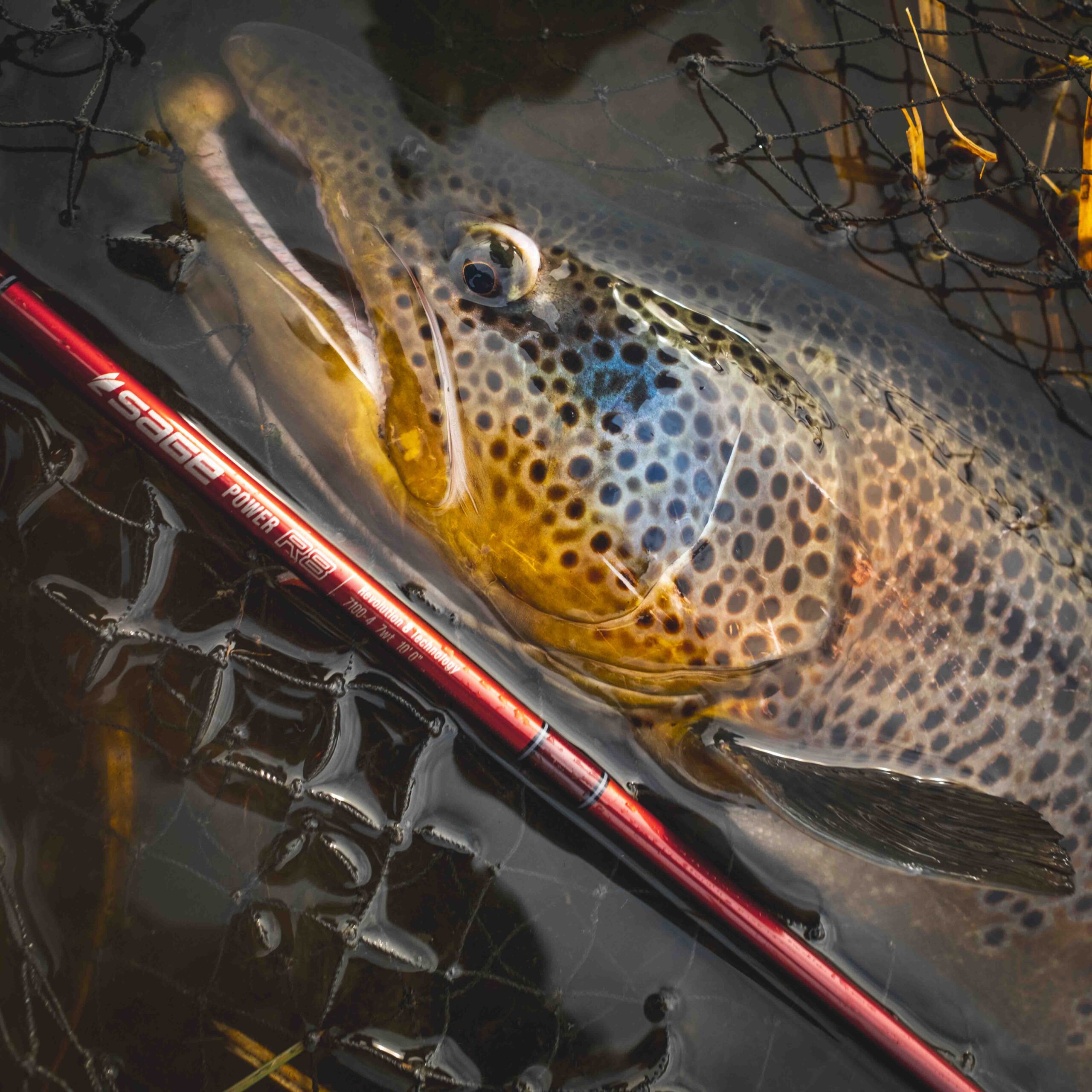 Giveaways - Guide Flyfishing