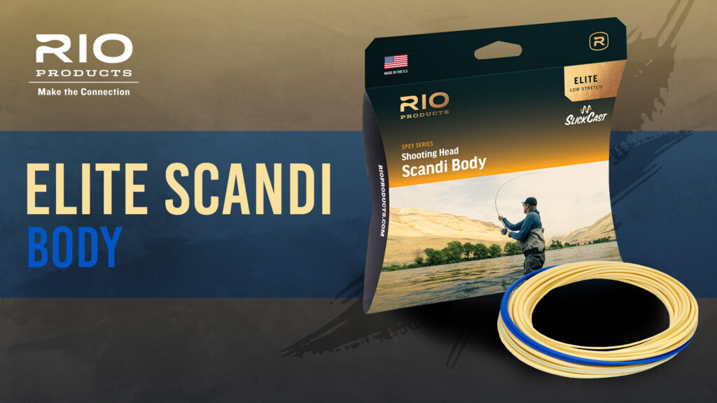 The Ultimate Scandi Shooting Head – RIO Elite Scandi Body - Guide Flyfishing