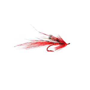 Caledonia Ally’s Shrimp Red P Double