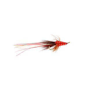 Caledonia Red Francis P Double