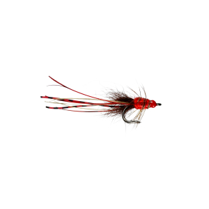 Caledonia Red Francis Nordic Double