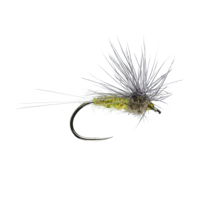 Caledonia BWO Stacked Hackle W/Dry B/L