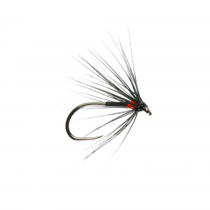 Caledonia Red Spot Spider Wet B/L