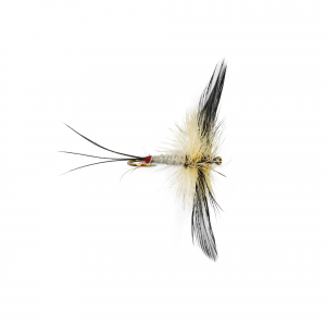 Caledonia Red Butt Spent Mayfly