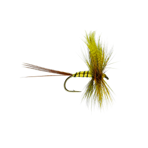 Caledonia Erne Special Mayfly Dry