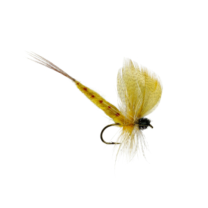 Caledonia Thomas Yellow Mayfly