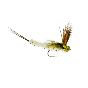 Caledonia Mohican Mayfly