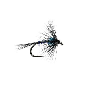 Caledonia Blue Quill Cruncher (U/W) B/L
