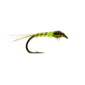 Caledonia Olive Quill Green F/B Buzzer