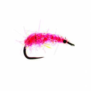 Caledonia Pink Shrimper B/L