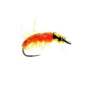 Caledonia Orange Bomb Bug T-Bead B/L