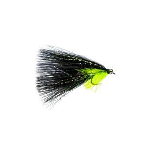Caledonia Black Cats Whisker