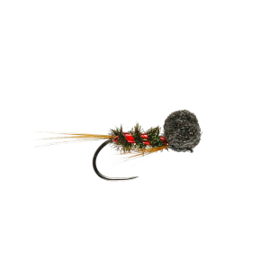 Caledonia Holo Red Diawl Booby B/L