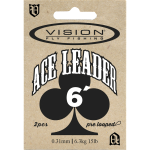 Vision Ace Leaders