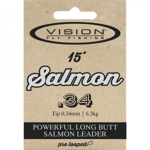 Vision Salmon Leaders