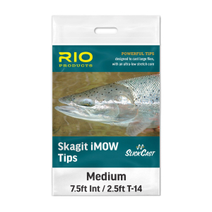 RIO Skagit Imow Tips